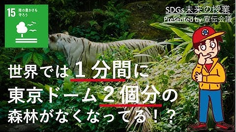 世界では１分間に東京ドーム２個分の森林がなくなってる？