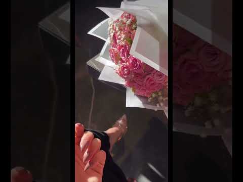 بختار الي اباه