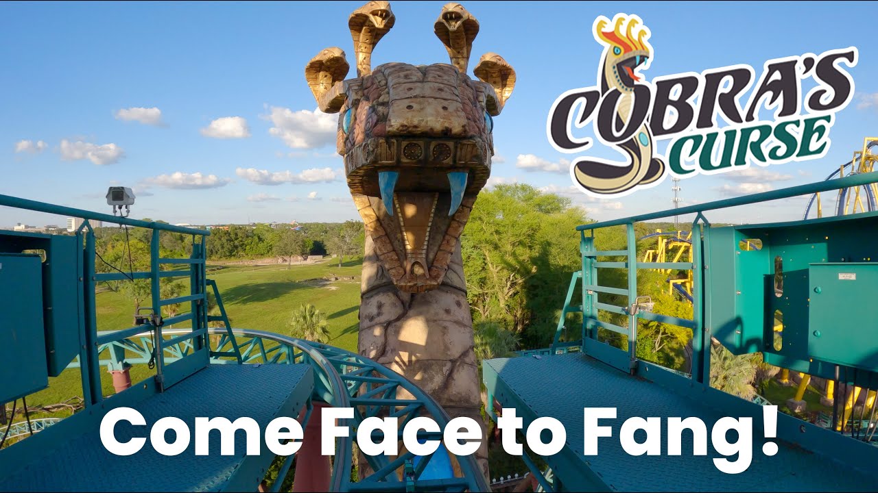 Cobra's Curse Front Row POV Busch Gardens Tampa | One of a Kind Spinning Coaster