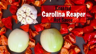 Making Carolina Reaper Hot Sauce!