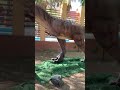 Dinosaurio - blue Jurásico