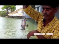 MUDCRABS Catching | Catching MudCrabs in Handline Traps in River | Crabs Traps