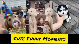 Dogs Cute Funny Moments 😍 Compilation by INDIE VIRAL CONTENT 190 views 3 years ago 7 minutes, 5 seconds