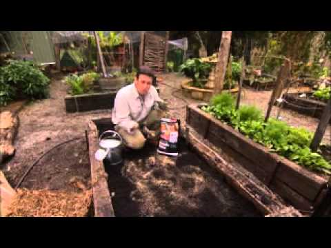 The Garden Gurus - No Dig Veggie Patch - YouTube