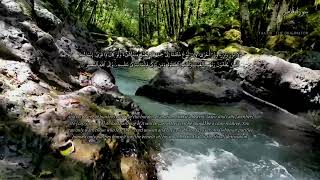 Surah Faatir– Noreen Muhammad Siddique | سورة فاطر كاملة – نورين محمد صديق
