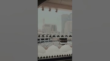 #عاصم_الهوساوي #تلاوة_خاشعة #مزامير_آل_داود #اكسبلور #رواية_شعبة_عن_عاصم #لايك #ايات_قرانيه_قصيره