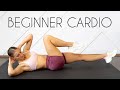 15 MIN BEGINNER CARDIO Workout (At Home No Equipment)