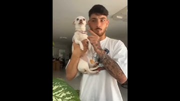 Funny Animals 2024 😂 - Funniest Cats and Dogs video 🐱 🐶 #shorts episode 111