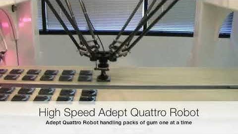High Speed Adept Quattro and Cobra SCARA Robot Handling Gum