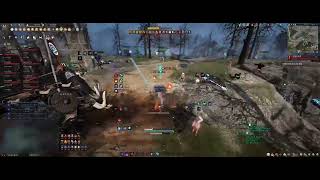 Black desert succ wizard pvp Node War T1 / 검은사막 전승위자드 pvp