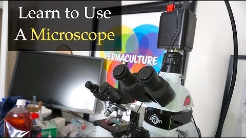 Learn to Use a #Microscope with Matt Powers
