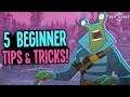 5 Beginner Tips & Tricks for Griftlands!