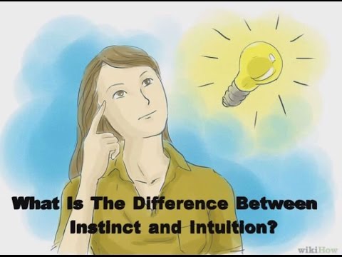 Intuition An Instinct And Instinct