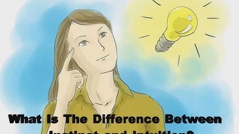 What Is The Difference Between Instinct and Intuition?