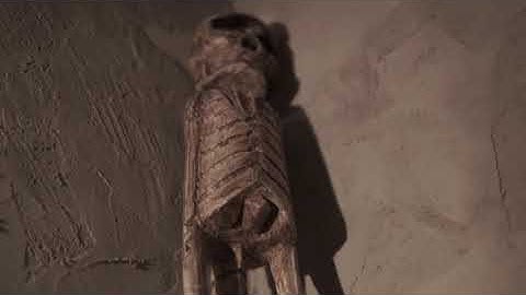 Labyrinth Escape Games Promo Video