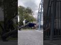 Bodyweight Tricep Extensions #viralshorts #fypシ゚viral #viral #trending #calisthenics