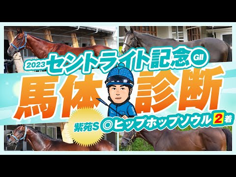 【セントライト記念 2023】紫苑Sでは◎イチオシ馬が好走！中山外回りは”持続力”で勝負だ！某大手牧場の元スタッフが見抜く重賞馬体診断！重賞フォトパドック【競馬予想】