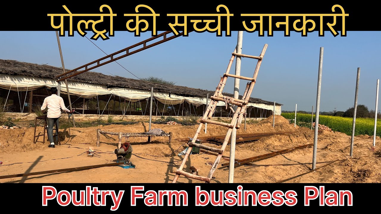 Poultry Farming Business Plan - Profit | AgriBusiness Idea | Part 2 | # ...