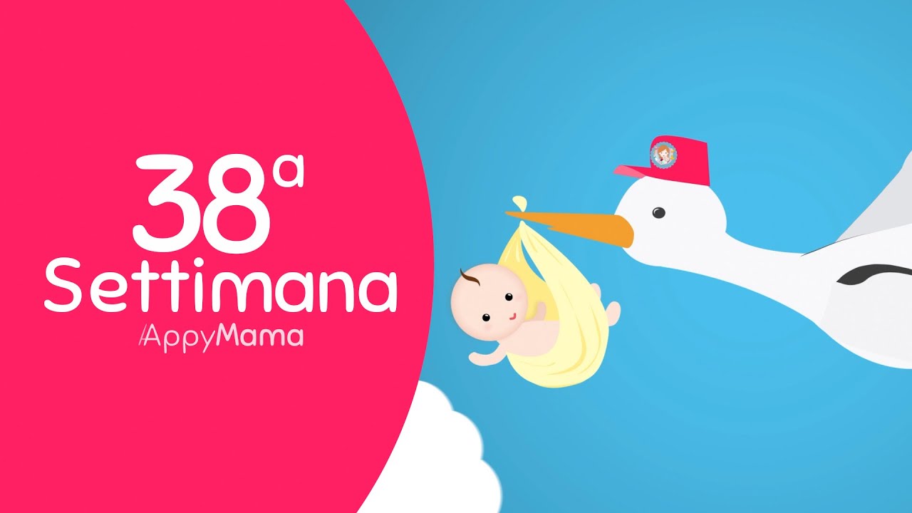 38 Settimana di gravidanza - Uno spazio tutto per voi