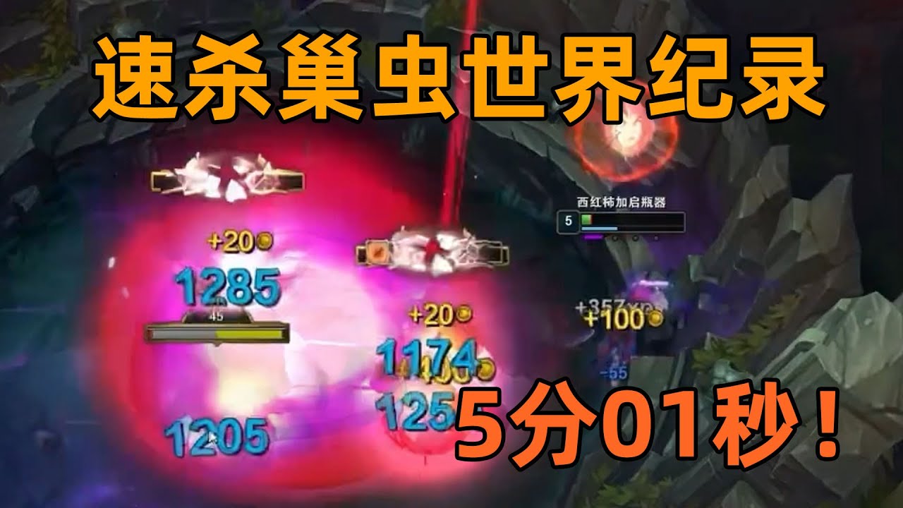 速殺巢蟲世界紀錄：5分01秒！操作與智鬥的巔峰！我必須達到完美！！