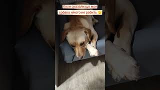 Допомагає Як Може