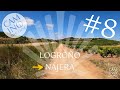 8 logroo to njera  full etape  camino santiago