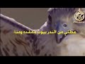 شيلة يامرحبا ترحيب بحضور الرجال نردده شيلة يامرحبا ترحيب بحضور الرجال نردده