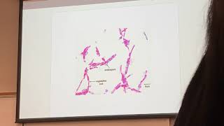 Microbiology Final Exam Review Pt. 1