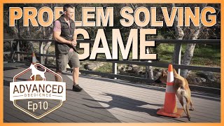 Problem Solving Game for You and Your Dog!