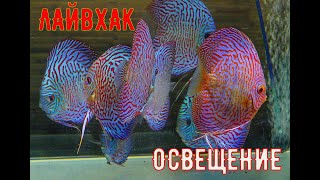 #DISCUS# ДИСКУСЫ#ЛАЙВХАК ОСВЕЩЕНИЕ