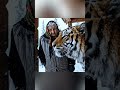 TIGER GUIDE IN THE BLIZZARD A 93 Year Old Follows Her Finds A Woman Unconscious In Snow