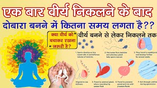 वीर्य बनने में कितना समय लगता है ? Veerya Banne Me Kitna Samay Lagta Hai / Spermatogenesis Time