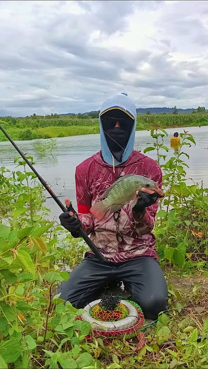 Piknik ning waduk #shorts #fishing  #tiktok