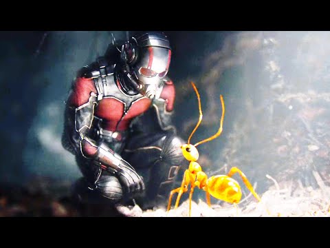 वीडियो: स्कॉट लैंग। दूसरी चींटी-मनुष्य की जीवनी