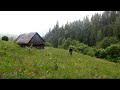 A mountain cabin in a wild forest far in the mountains bushcraft shelter  episode 2 