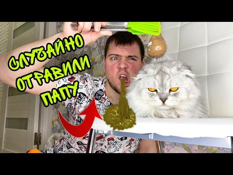 ОТРАВИЛИ ПАПУ СКВИШ-ЕДОЙ! ПРАНК ЕДОЙ ОТ КОТОВ