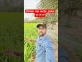 Oman me india jaisa haryali 🥰| Oman me kheti hui hai #siwanvsgulf #gulf