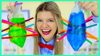 Easy Science Experiment For Kids And Toddlers Simple Science Experiments For Kids At Home