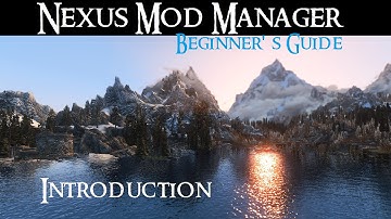 NEXUS MOD MANAGER: Beginner
