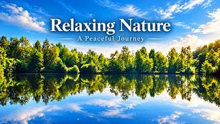 Find Your Inner Peace 🕊️ 1 Hour of Peaceful Nature Sounds & Gentle Music