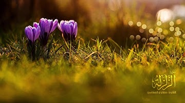 Al Zalzalah Mushari Al Afassi سورة الزلزله مشاري العفاسي