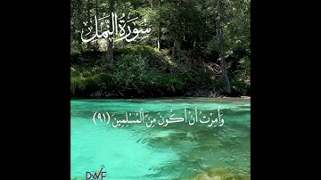 تلاوة عطرة من سورة النمل عطر بها صيامك