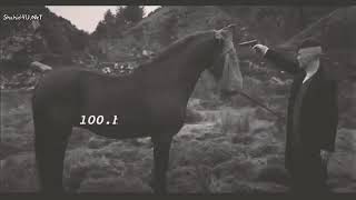 مقطع مؤثر لحظه قتل حصان توماس شيلبي 💔