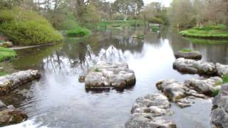 St. Fiachra's Garden at the Irish National Stud. by followhounds 323 views 13 years ago 27 seconds