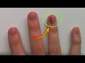 What can cause red thick line beneath the thumbnail? - YouTube