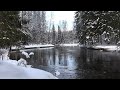 4K White Forest - Calming River Sounds -  Relaxing Winter Nature Video - Ultra HD