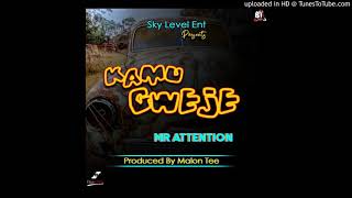 Mr Attention - KAMUGWEJE 2020 Zimdancehall Pro by MalonTee