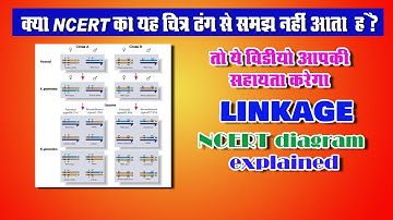 Linkage NCERT diagram explained | Principle of inheritance and variation | class 12 | shwet sir