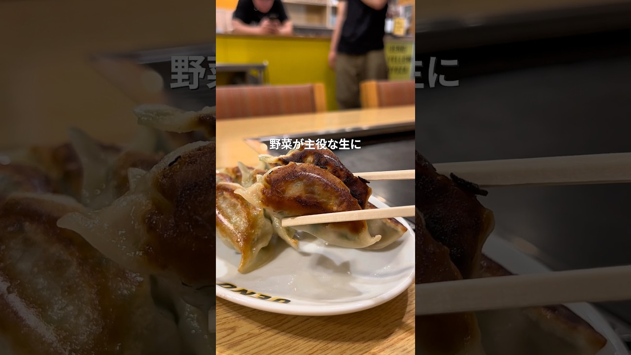 【上野】裏上野で餃子とレモンサワーを堪能する #東京居酒屋 #上野 #餃子