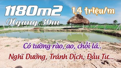 Đất Vườn Củ Chi | cần bán 1180m2 cách UBND Nhuận Đức 2km - nghĩ dưỡng, tránh dịch, đầu tư
